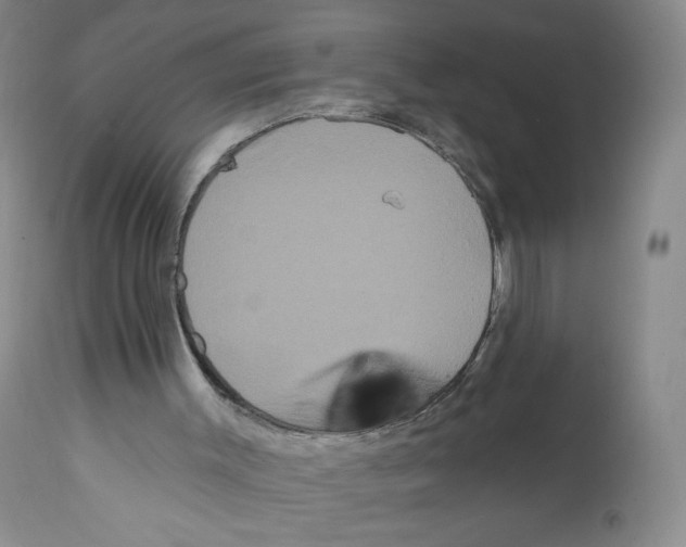 X0000112160003200909181458