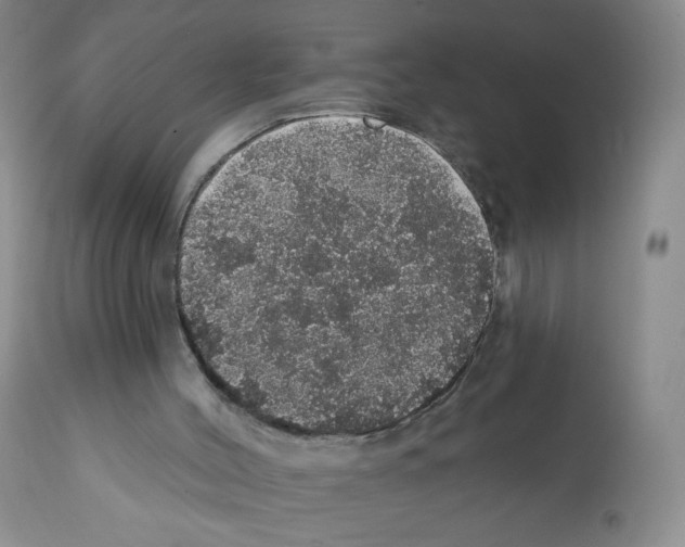 X0000112160004200909181458