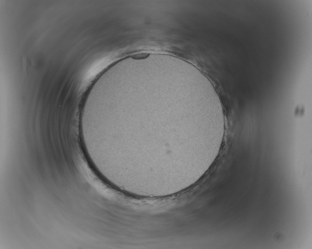 X0000112160005200909181458