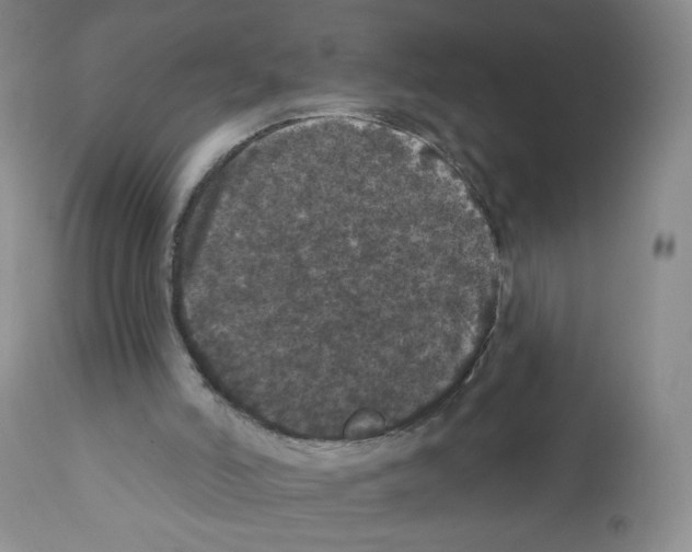 X0000112160006200909181458