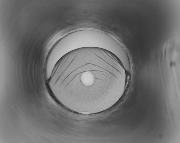 X0000112160007200909181458