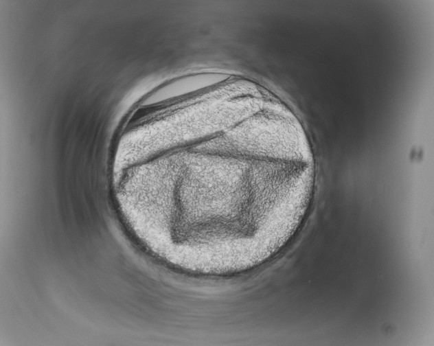 X0000112160008200909181458