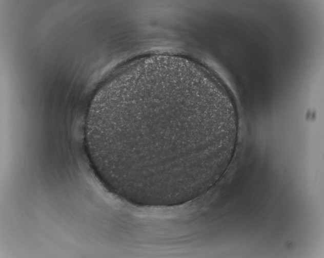 X0000112160009200909181458