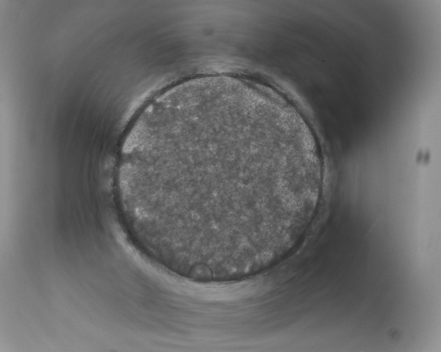 X0000112160010200909181458