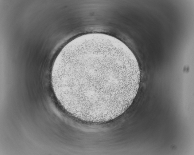X0000112160012200909181458
