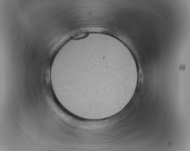 X0000112160013200909181458