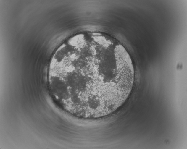 X0000112160014200909181458
