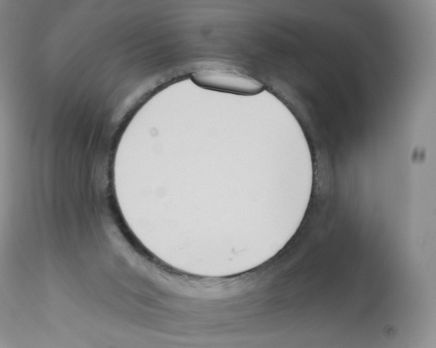 X0000112160015200909181458