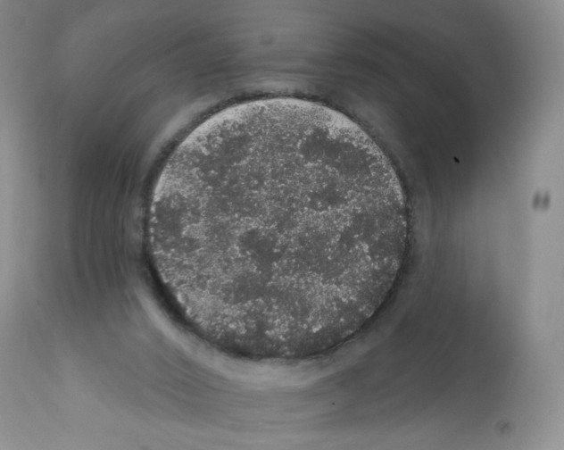 X0000112160016200909181458