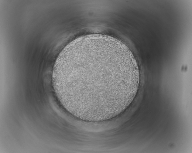 X0000112160018200909181458
