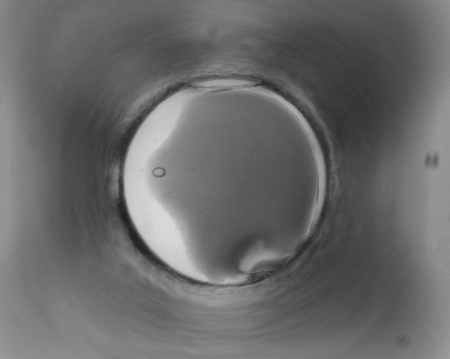 X0000112160019200909181458