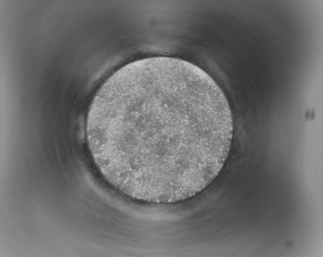 X0000112160020200909181458