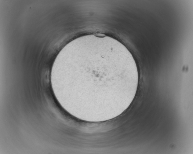 X0000112160021200909181458