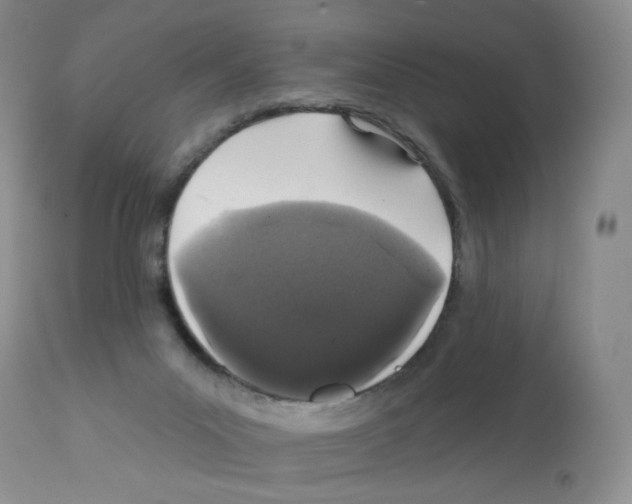 X0000112160023200909181458