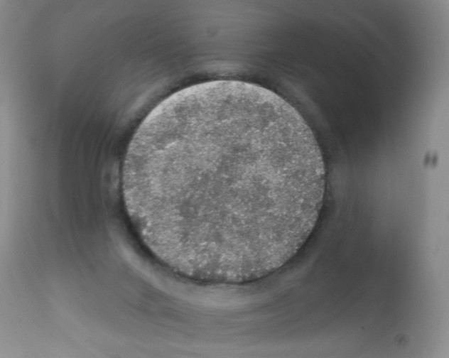X0000112160024200909181458