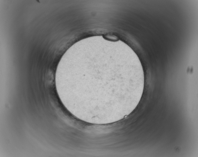 X0000112160025200909181458