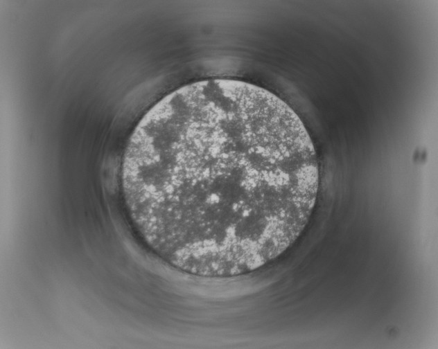 X0000112160026200909181458