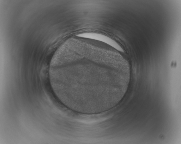 X0000112160029200909181458