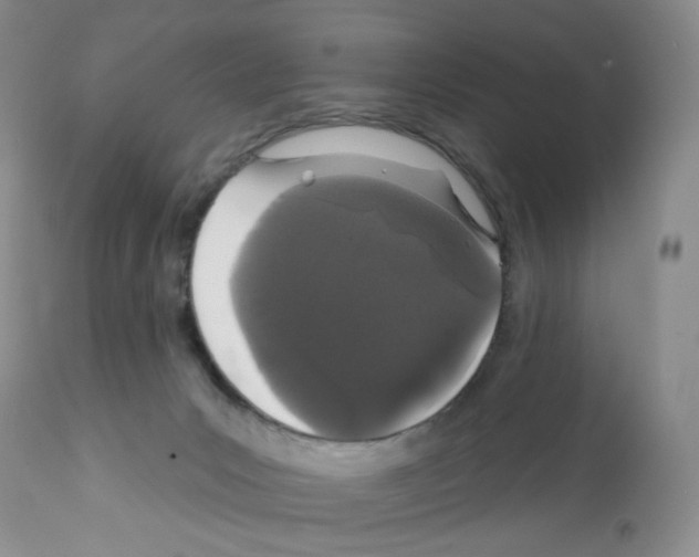 X0000112160031200909181458