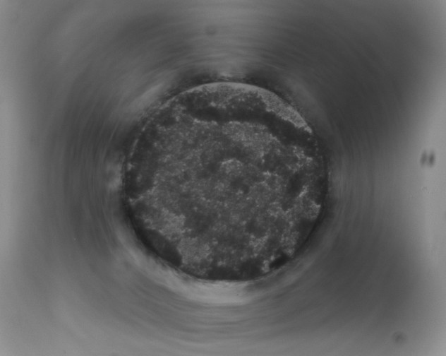 X0000112160032200909181458