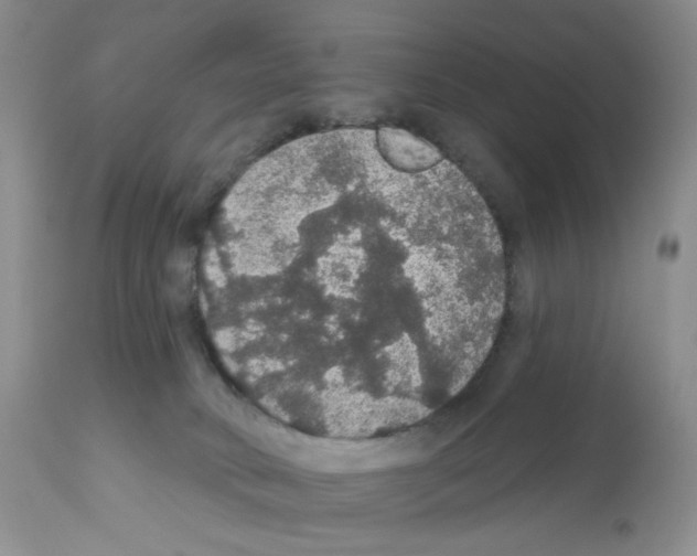 X0000112160034200909181458