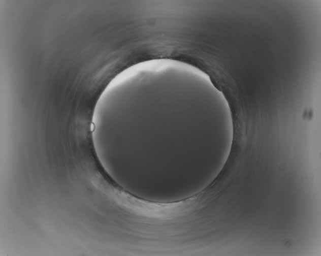 X0000112160035200909181458