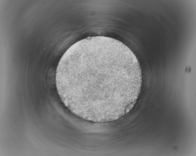 X0000112160036200909181458