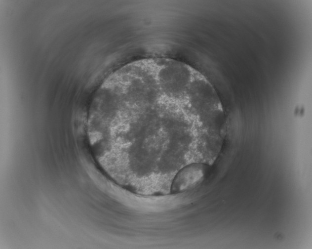 X0000112160038200909181458