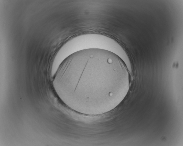 X0000112160039200909181458