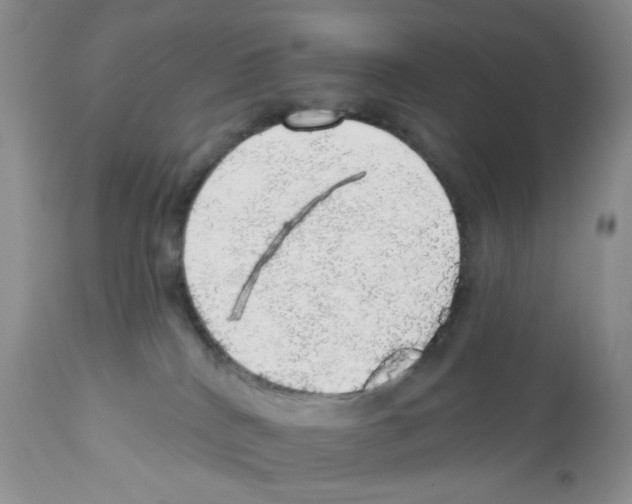 X0000112160040200909181458