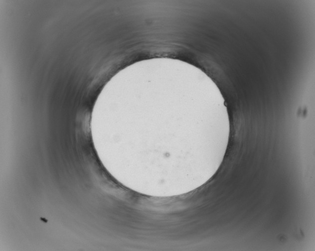 X0000112160041200909181458