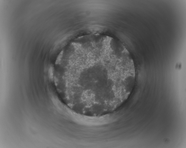 X0000112160042200909181458
