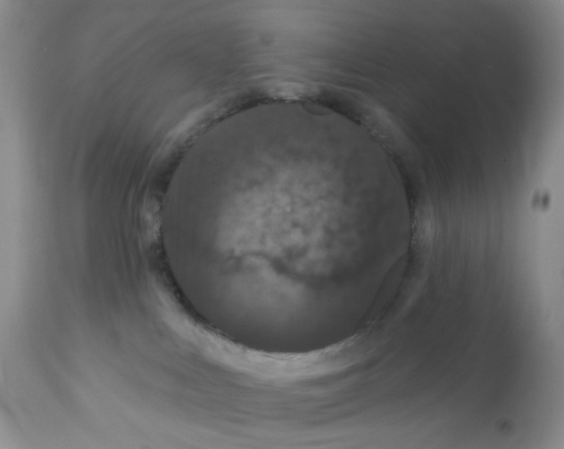 X0000112160043200909181458