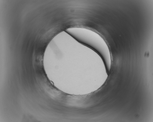 X0000112160045200909181458