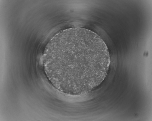 X0000112160046200909181458
