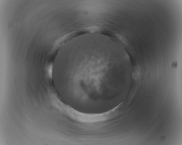 X0000112160047200909181458