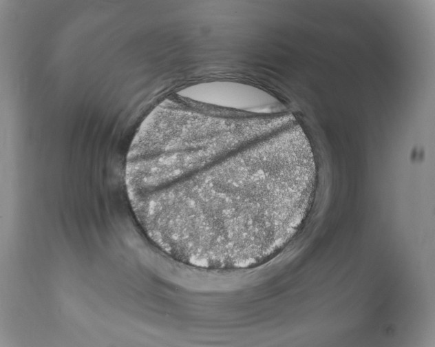 X0000112160048200909181458