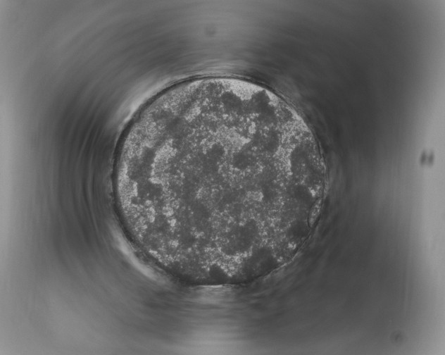 X0000112160050200909181457