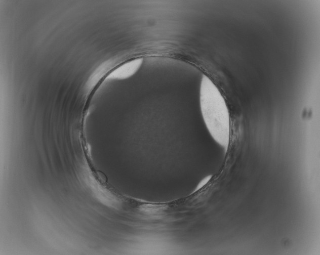 X0000112160051200909181457