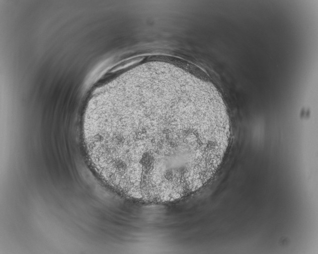 X0000112160053200909181457