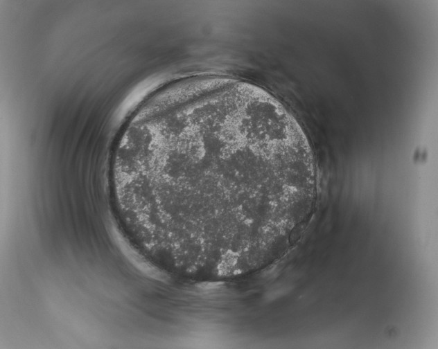 X0000112160054200909181457