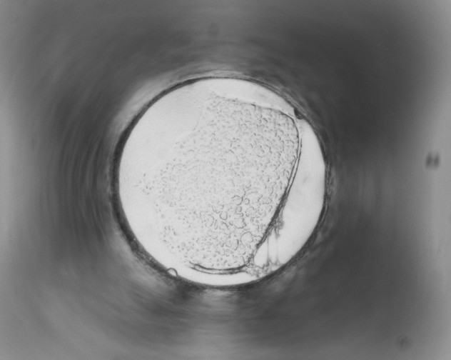 X0000112160055200909181457