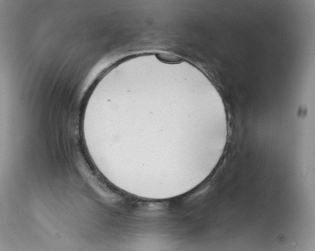 X0000112160056200909181457