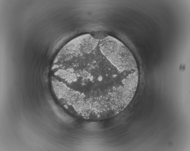 X0000112160058200909181457