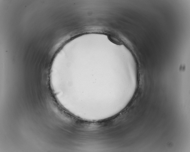 X0000112160059200909181457