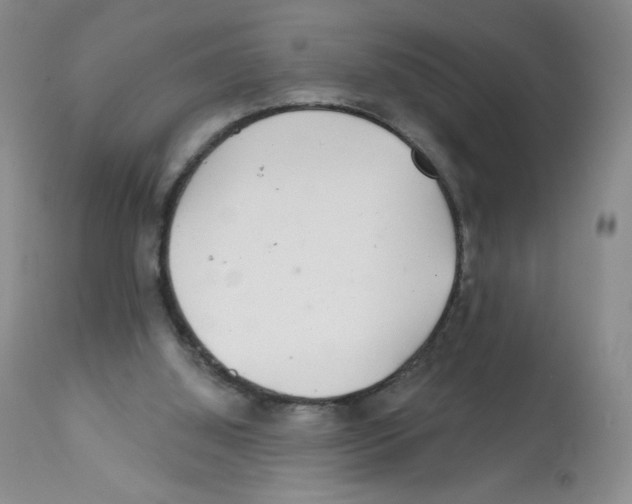 X0000112160060200909181457