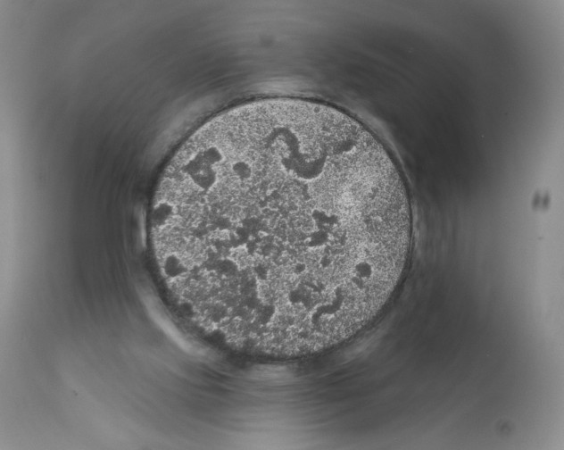 X0000112160061200909181457