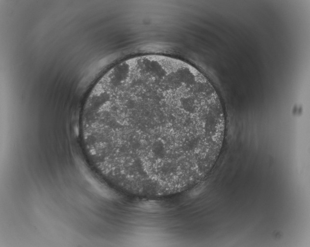 X0000112160062200909181457