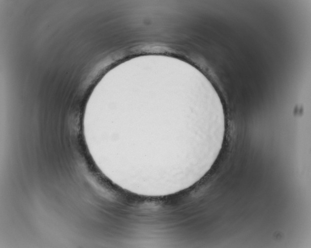 X0000112160063200909181457