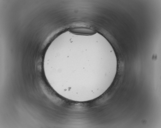 X0000112160064200909181457